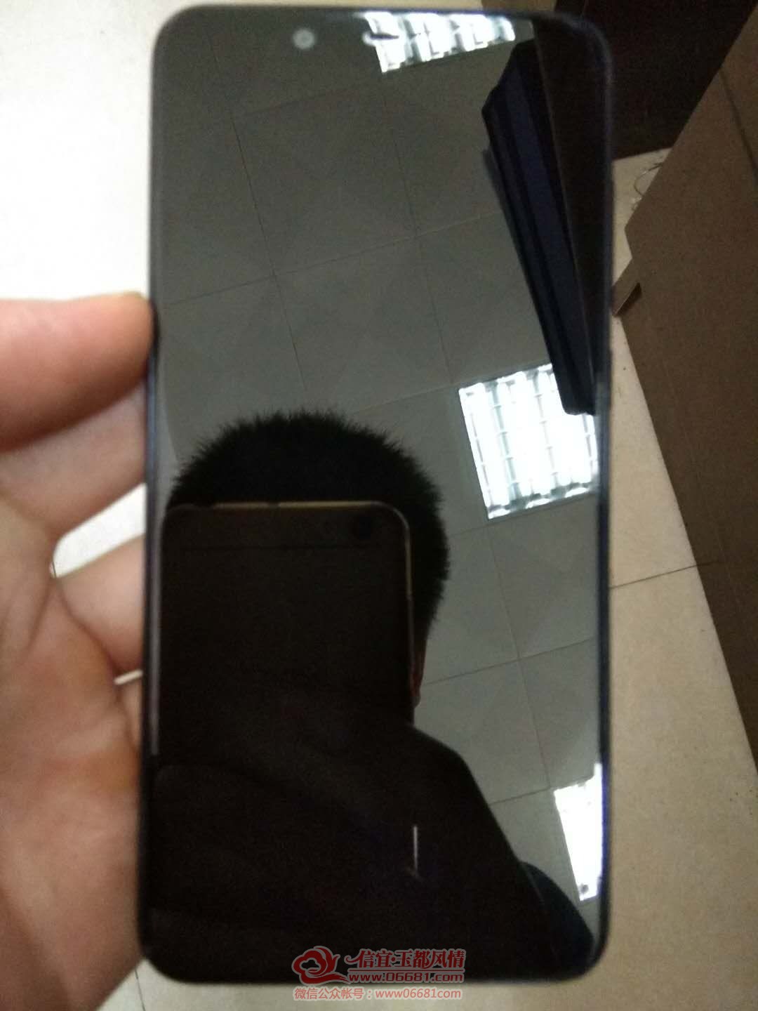 mmexport1592875441824.jpg