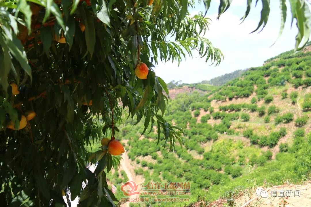 ΢��ͼƬ_20200728091447.jpg