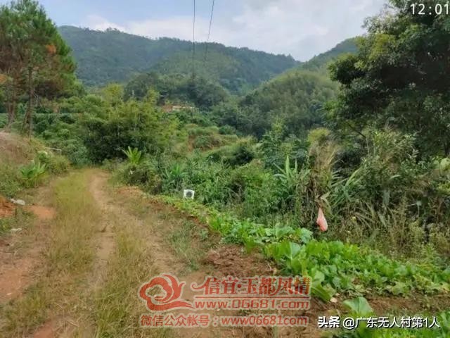΢��ͼƬ_20200729095002.jpg