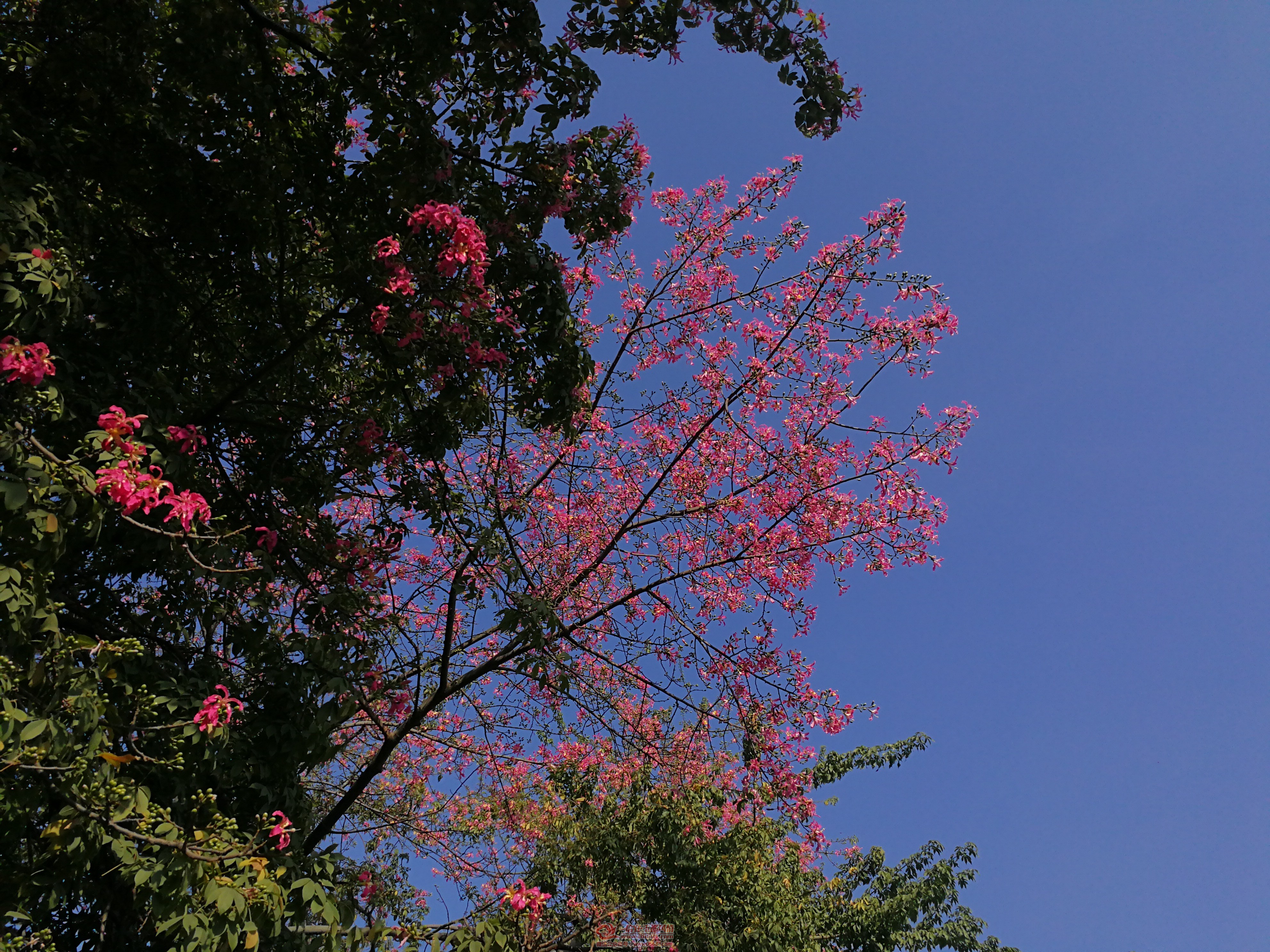 IMG_20191107_152055.jpg