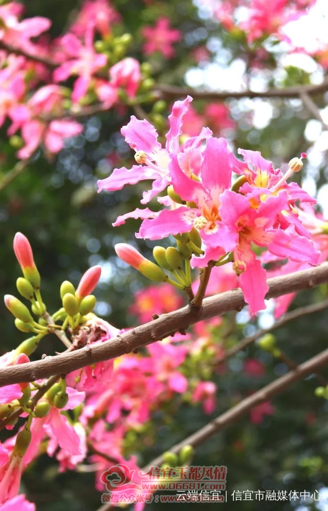 20201126_090259_010.jpg
