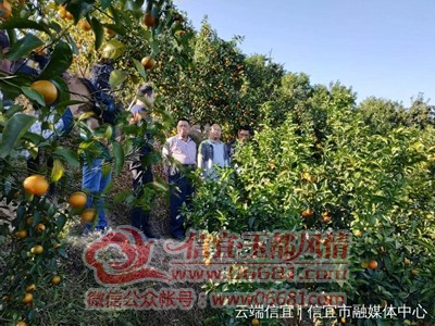 ΢��ͼƬ_20201201105935.jpg