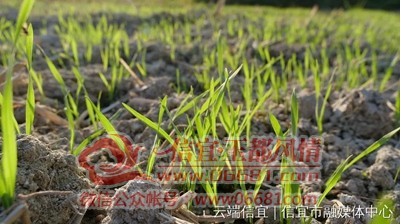 ΢��ͼƬ_20201206103142.jpg
