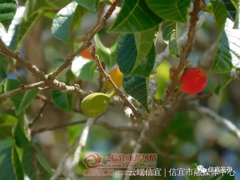 ΢��ͼƬ_20201215095643.jpg