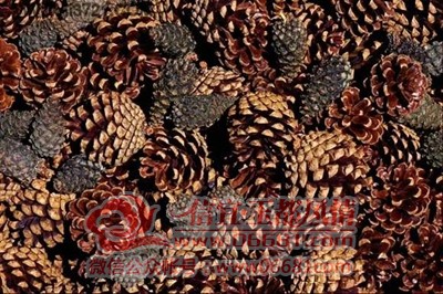 ΢��ͼƬ_20201218102448.jpg