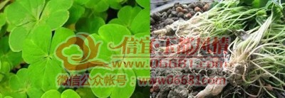 ΢��ͼƬ_20201218102715.jpg