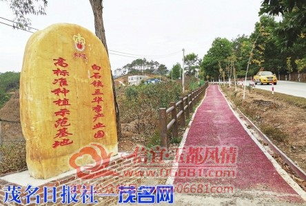 m_81a07a08ad09f302c5ec8828e47af3e7.jpg