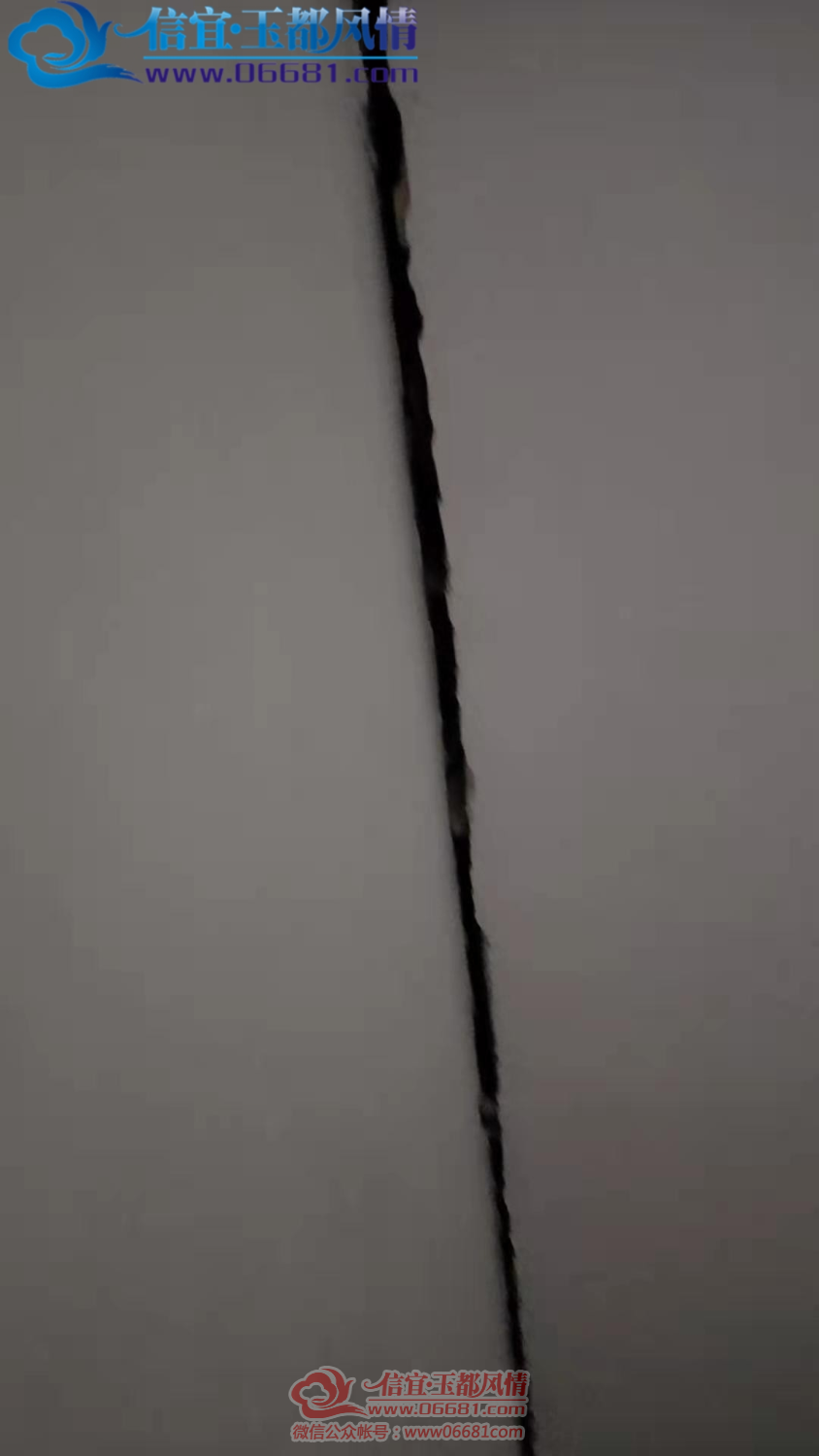 16087182127950.png