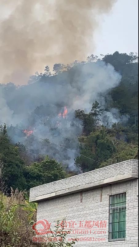 ΢��ͼƬ_20210105093815.jpg