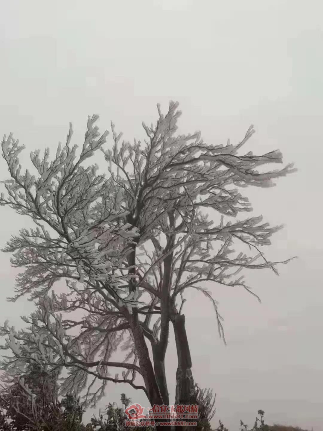 ΢��ͼƬ_20210108105258.jpg