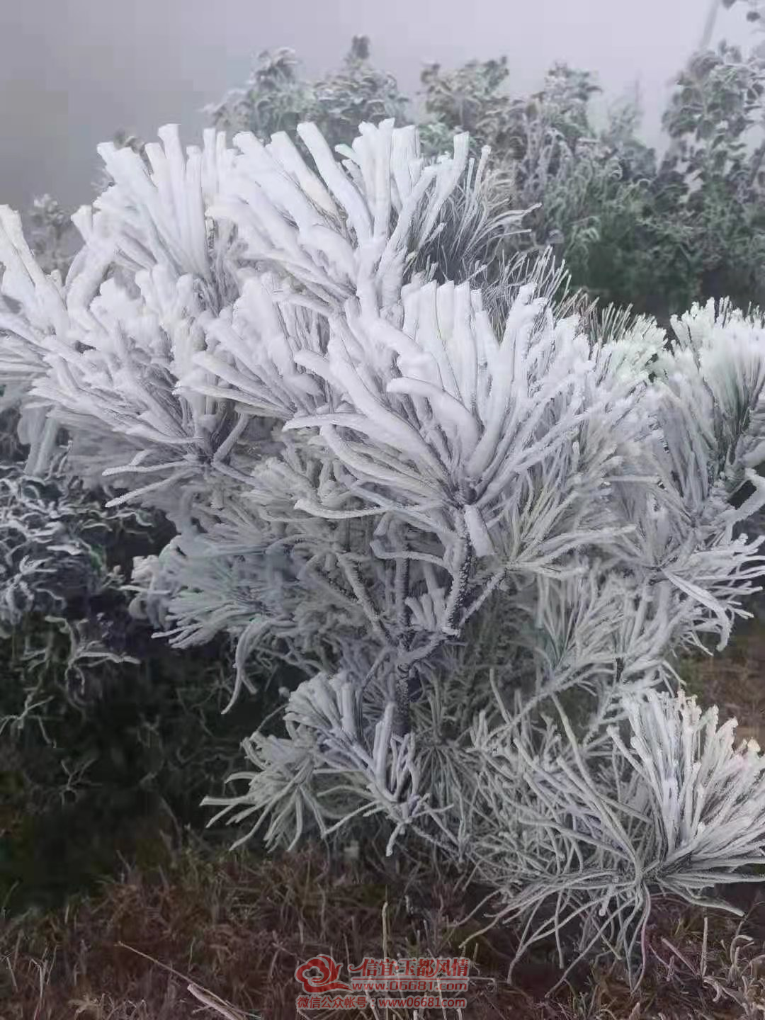 ΢��ͼƬ_20210108105253.png