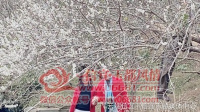 ΢��ͼƬ_20210109105437.jpg