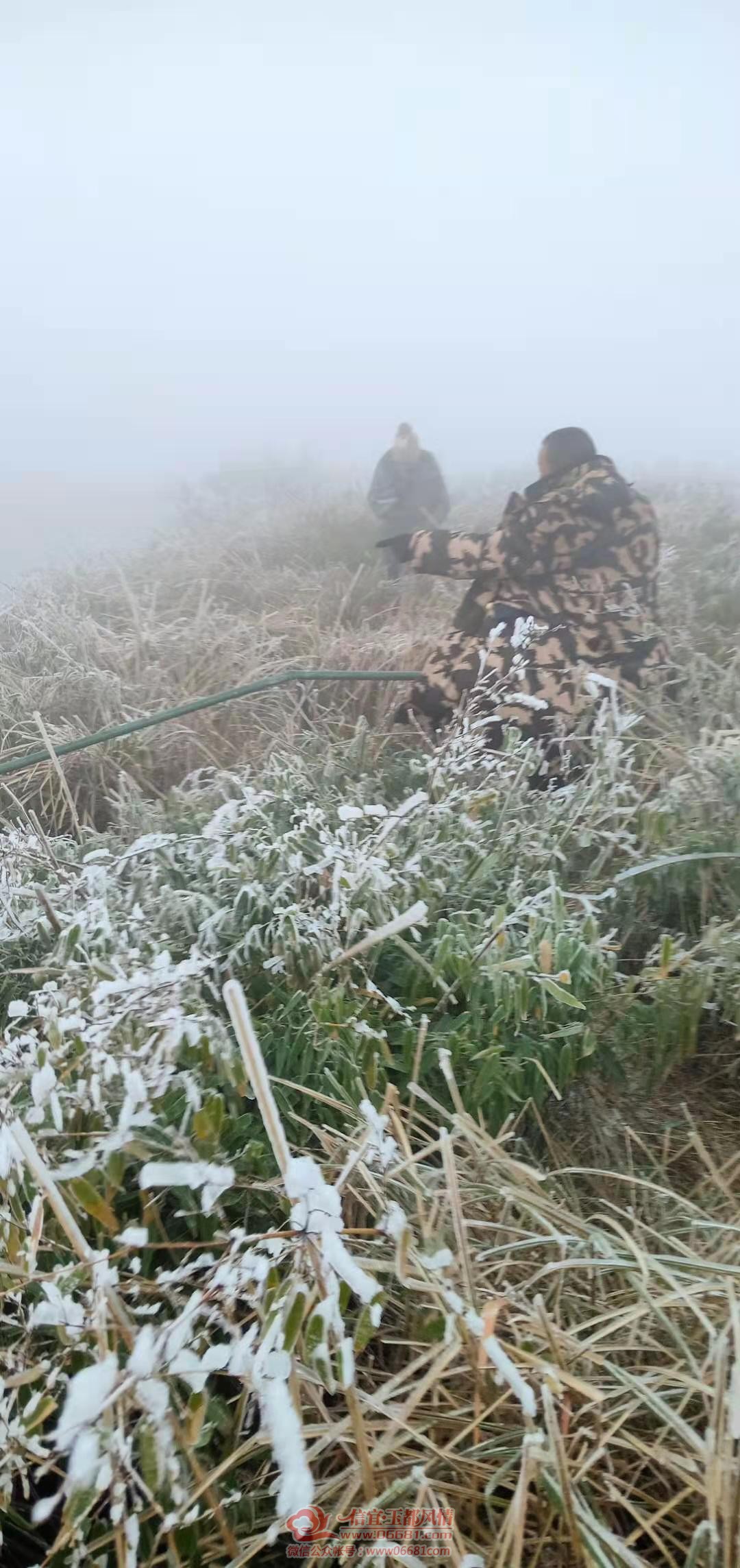 ΢��ͼƬ_20210111115509.jpg