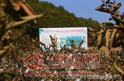 ΢��ͼƬ_20210117091730.jpg
