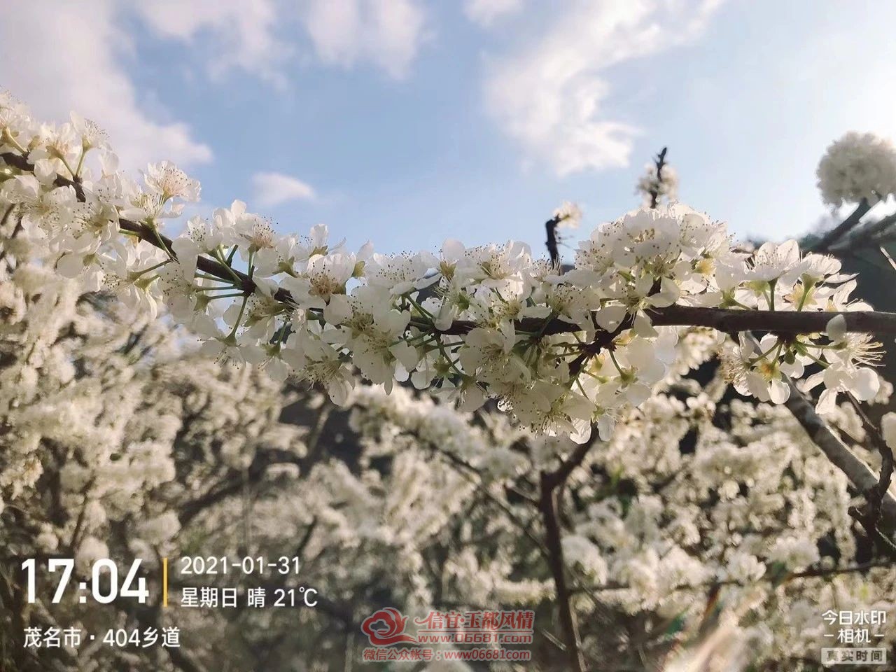 ΢��ͼƬ_20210202091356.jpg