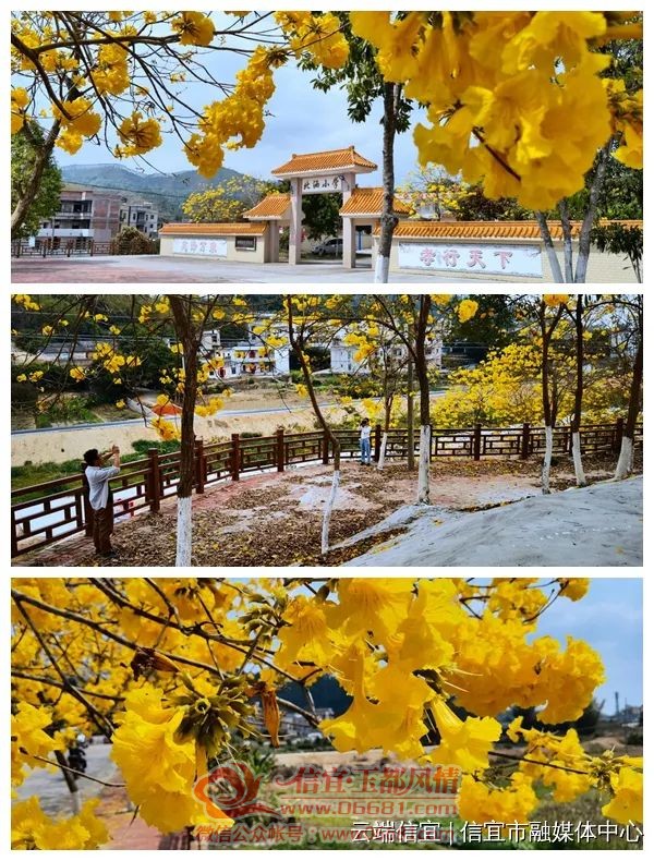 ΢��ͼƬ_20210301090127.jpg