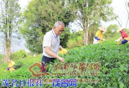 m_f8a0910a9dc953ea3aedbbca62172d7a.jpg