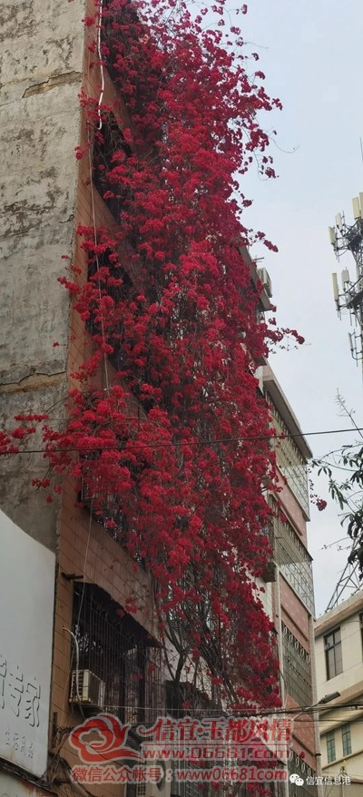 ΢��ͼƬ_20210323095818.jpg