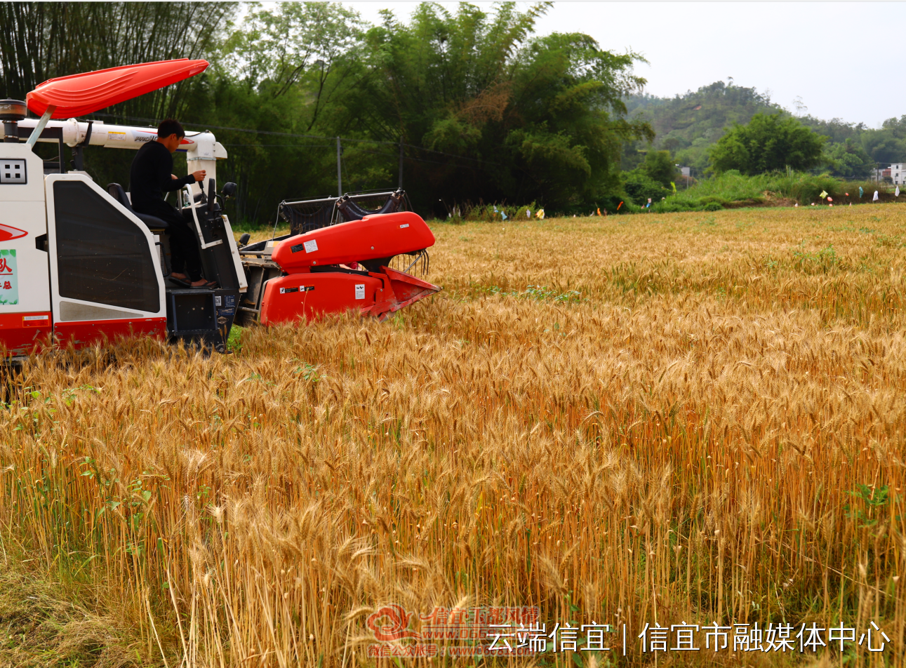 ΢��ͼƬ_20210329085753.png