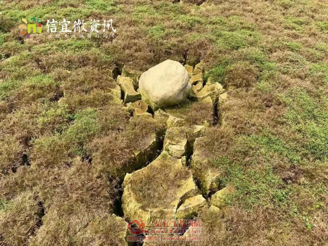 ΢��ͼƬ_20210331091550.jpg