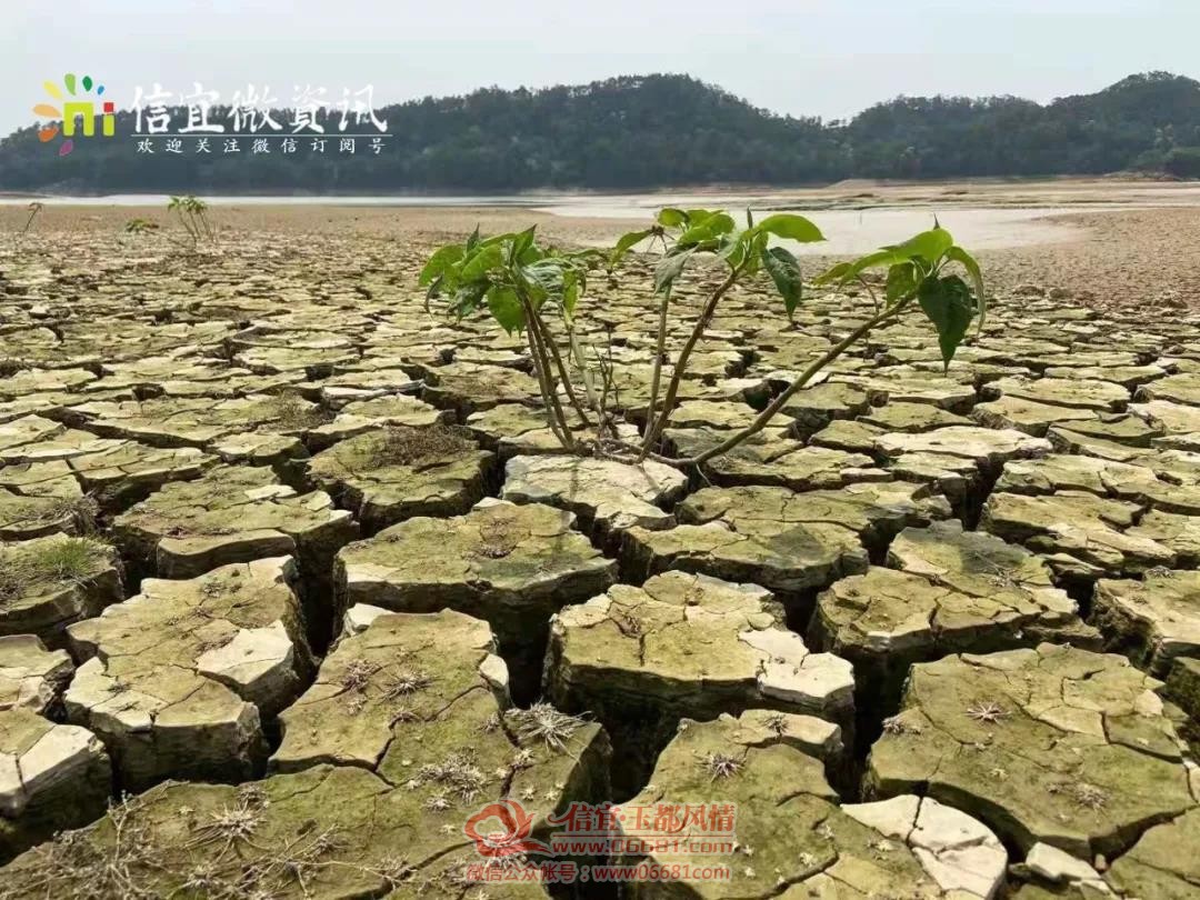΢��ͼƬ_20210331091542.jpg