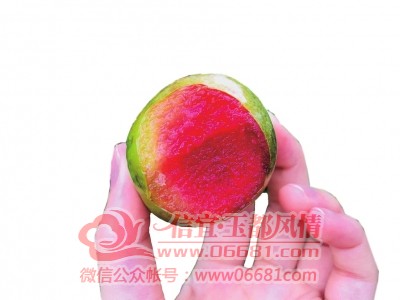 m_a1e83fe5a8b7161be5646eef5d9b193a.jpg