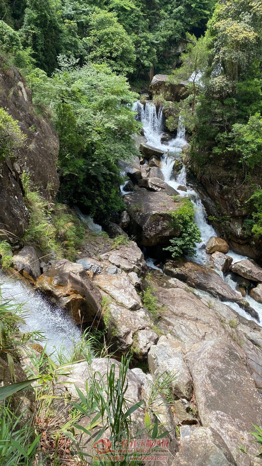 13875E63-0B18-428F-9E1F-3A077524E881.jpeg