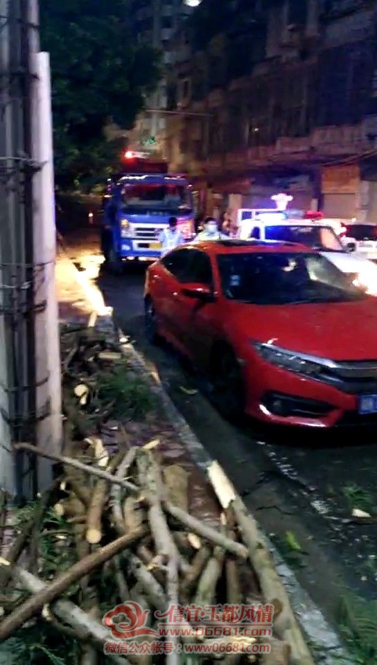 Videoframe_20210806_094454_com.huawei.himovie.jpg