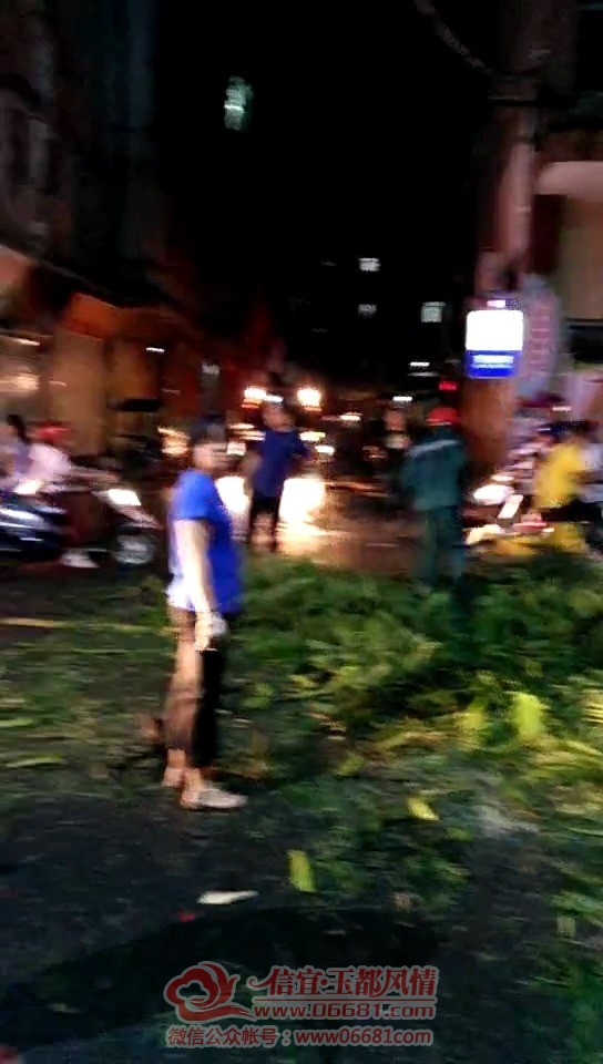 Videoframe_20210806_094450_com.huawei.himovie.jpg