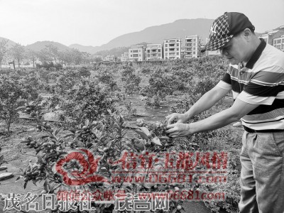 m_05080d11bbae2d74e42769959ed68604.jpg
