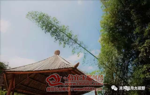 ΢��ͼƬ_20211122092002.png
