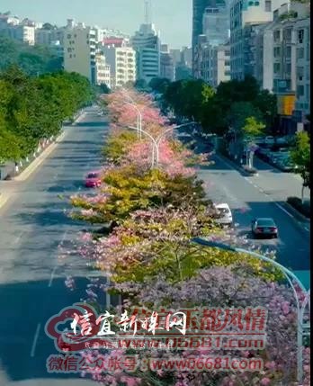 ΢��ͼƬ_20211213101051.jpg