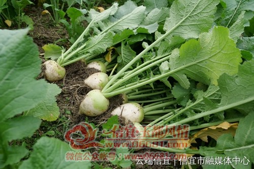 ΢��ͼƬ_20220129100816.jpg