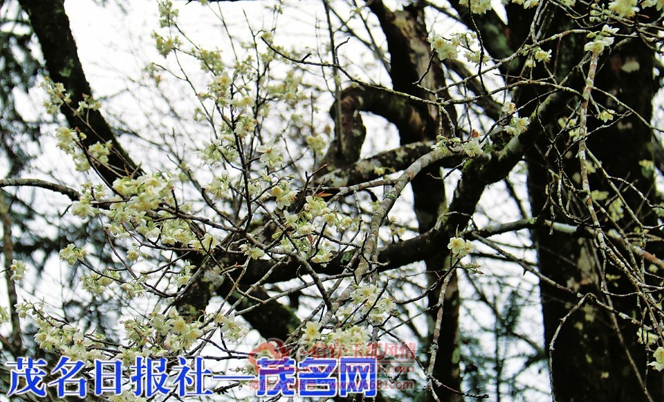 0951516137453638.jpg