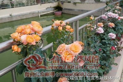 ΢��ͼƬ_20220417103651.jpg