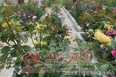 ΢��ͼƬ_20220417103706.jpg