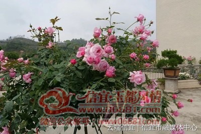 ΢��ͼƬ_20220417103724.jpg