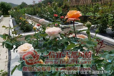 ΢��ͼƬ_20220417103703.jpg