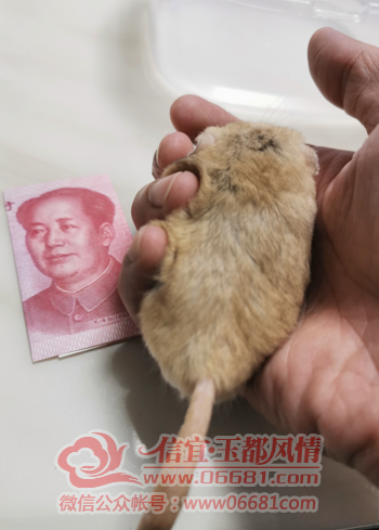 ΢�Ž�ͼ_20220512095329.png