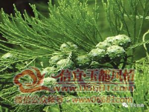 ΢��ͼƬ_20220522095508.png