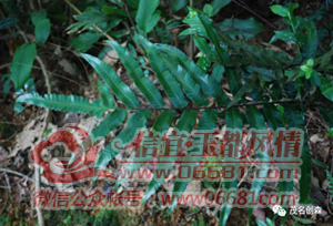 ΢��ͼƬ_20220522095538.png