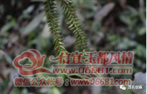 ΢��ͼƬ_20220522095527.png
