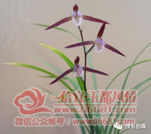 ΢��ͼƬ_20220522095651.png