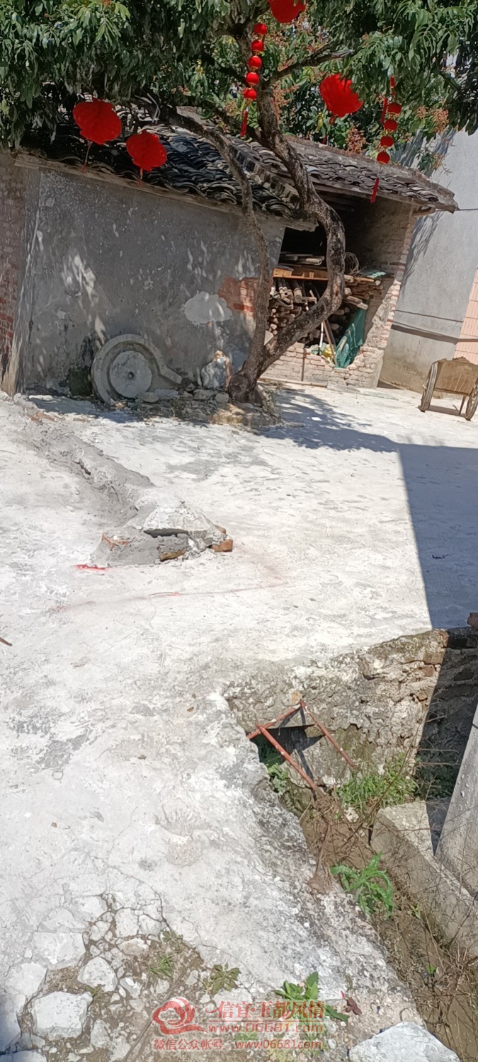 wx_camera_1645768709025.jpg