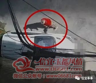 ΢��ͼƬ_20220601090311.jpg