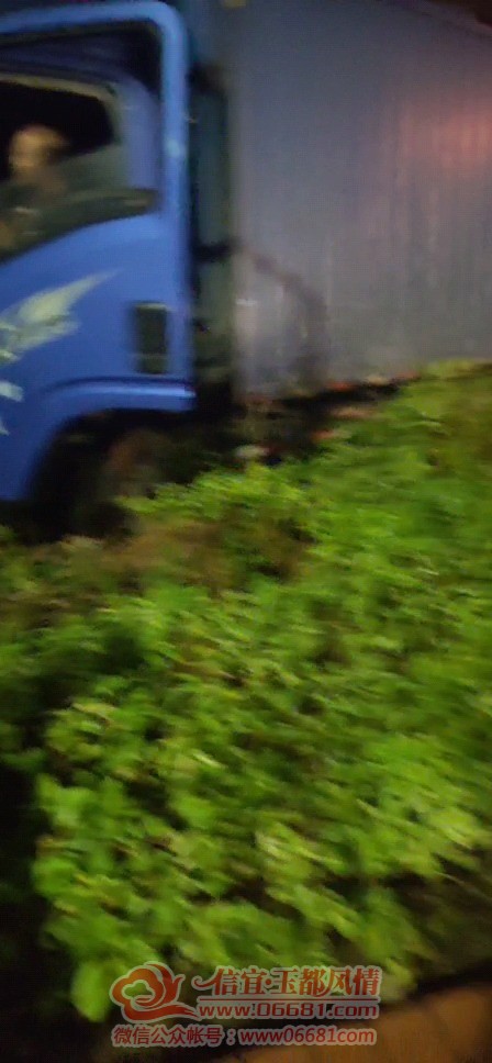 Videoframe_20220707_153446_com.huawei.himovie.jpg