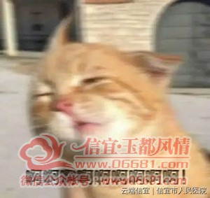 ΢��ͼƬ_20220802085229.jpg