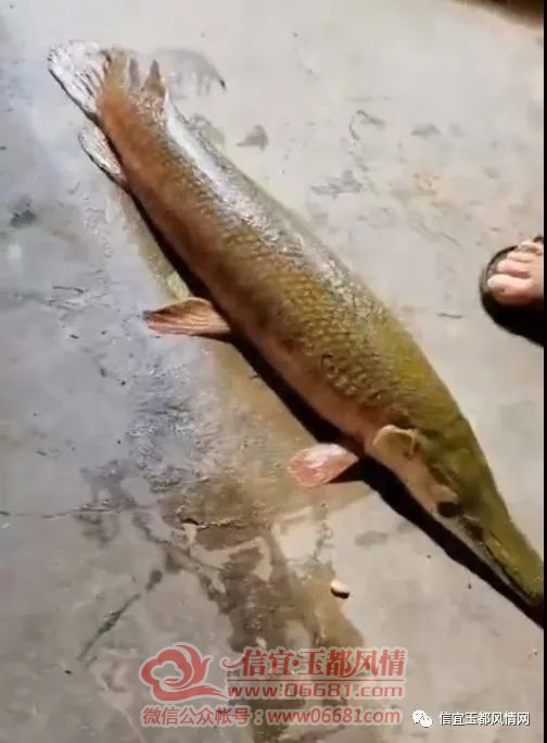 ΢��ͼƬ_20220906100324.jpg