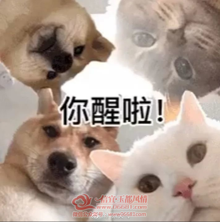 ΢��ͼƬ_20221101092252.png