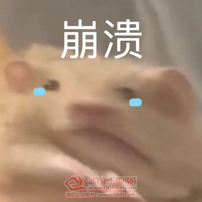 ΢��ͼƬ_20221119141706.png
